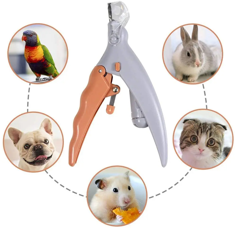 Professional Pet Nail Clipper  - огляд і ціна Grooming Scissors